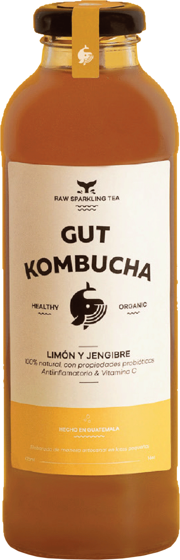 Kombucha gengibre limon